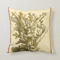 Coral by the Sea