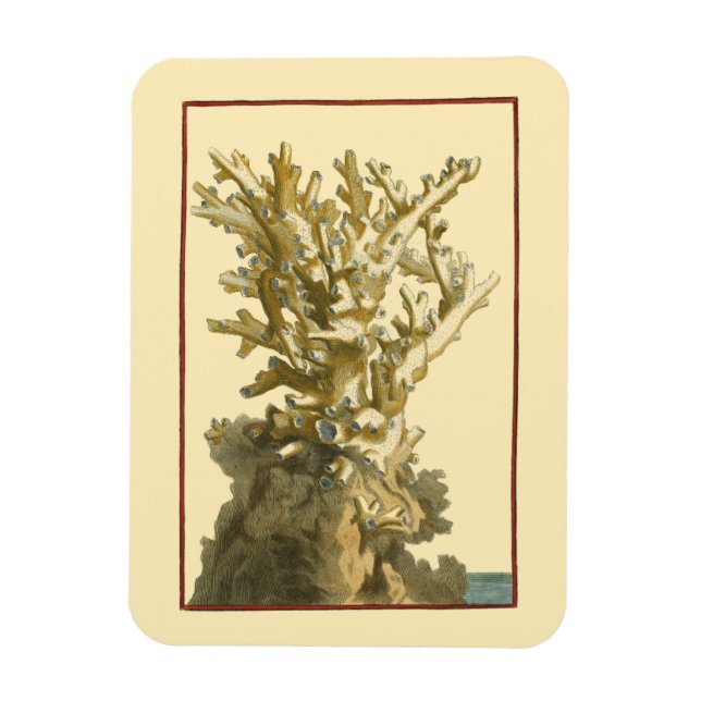 Coral by the Sea Magnet (Vertical)