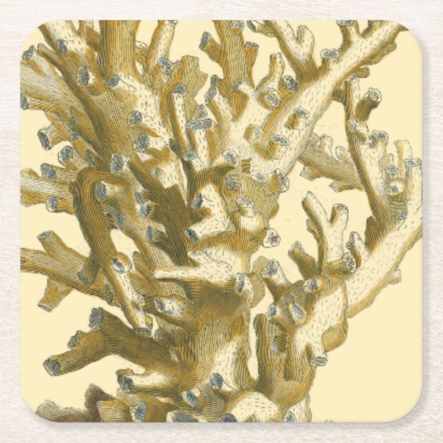 Coral by the Sea Square Paper Coaster (Front)