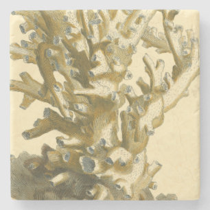 Coral by the Sea Stone Coaster