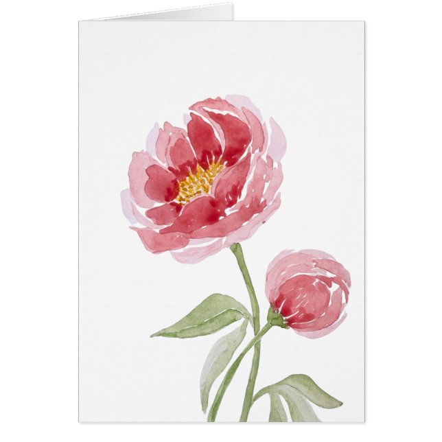 coral charm peony watercolor (Front)