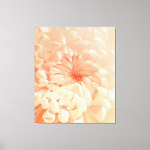 Coral Chrysanthemum Canvas Print