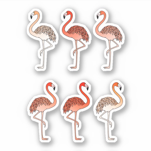 Coral Color Flamingos (Front)