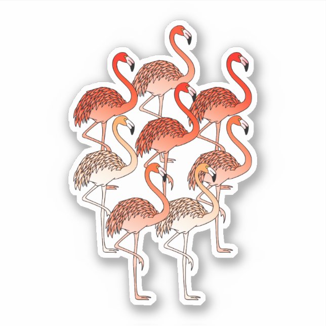 Coral Color Flamingos (Front)