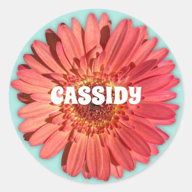 Coral Coloured Gerbera Daisy Photo Mint Green Classic Round Sticker (Front)