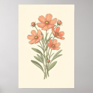 Coral Cosmos and Sage Botanical Poster