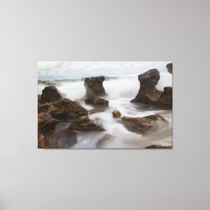 Coral Cove Park beach and waves Canvas Print