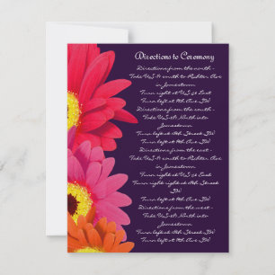 Coral Fuchsia Eggplant Gerber Daisy Direction Card