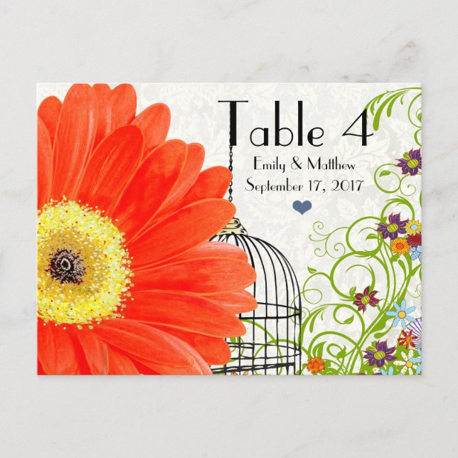 Coral Gerber Daisy Bird Cage Floral Table Number Postcard (Front)