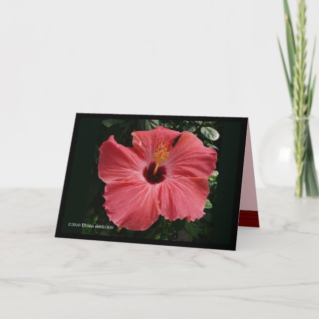 Coral Hibiscus Card (Front)
