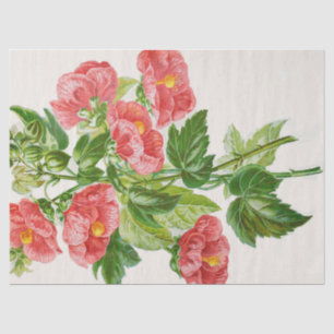 Coral Mallows Flower Art Tissue Paper