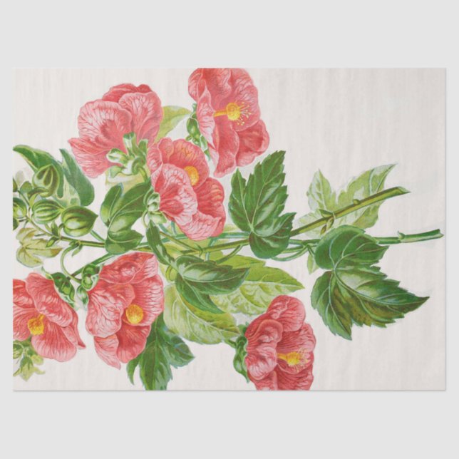 Coral Mallows Flower Art Tissue Paper (Front)