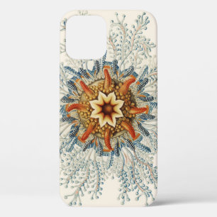 Coral Mandala Pattern iPhone 12 Case