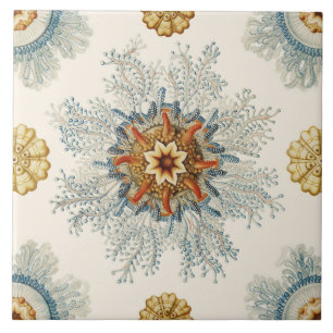 Coral Mandala Pattern Tile