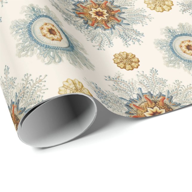 Coral Mandala Pattern Wrapping Paper (Roll Corner)