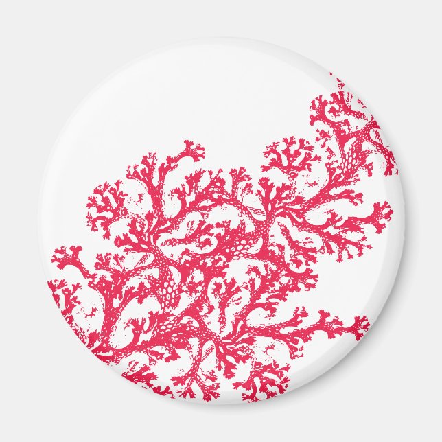 Coral Motif Magnet (Front)