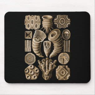 Coral Mouse Mat