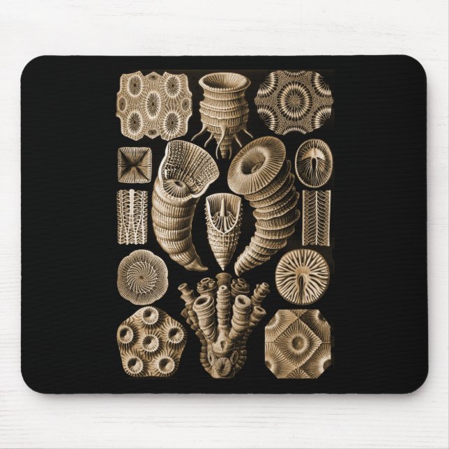 Coral Mouse Mat (Front)