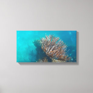 CORAL ON CANVAS     20 "x 16" Print