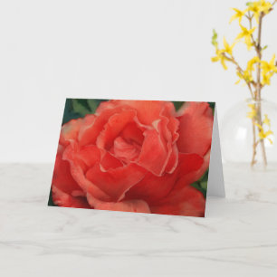 Coral Orange Red Rose Art Note Card