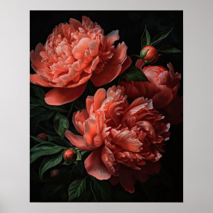 Coral Peony Flowers Art Print Poster