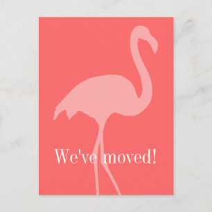 Coral pink flamingo moving postcards for new home