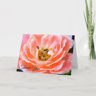 Coral Pink Rose Floral Photography Thank You Holiday Card