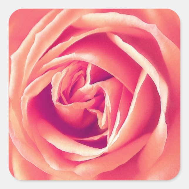 Coral pink rose print square sticker (Front)