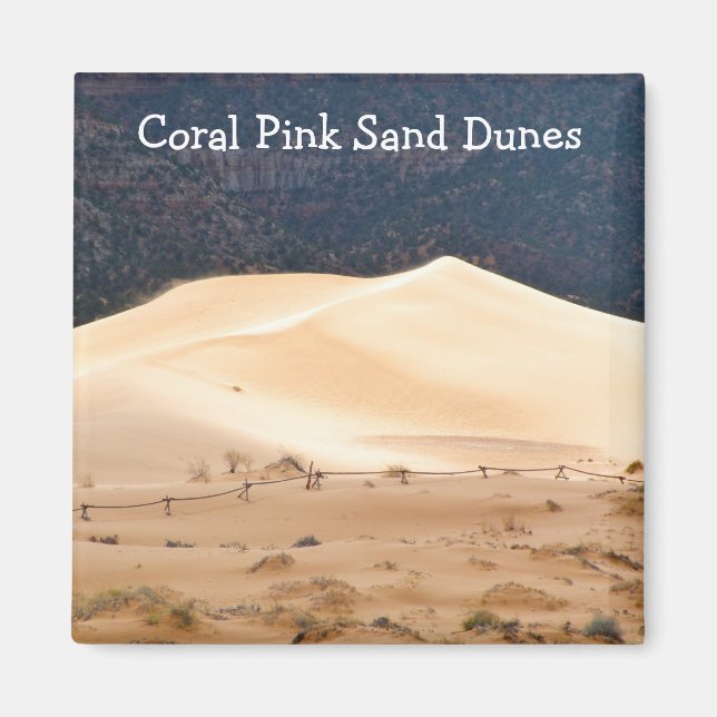 Coral Pink Sand Dunes Magnet (Front)