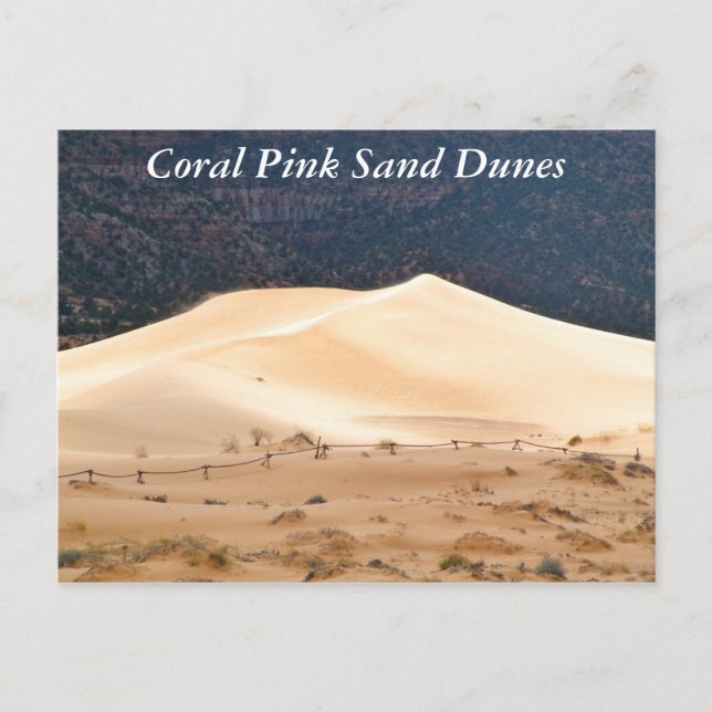 Coral Pink Sand Dunes Postcard (Front)