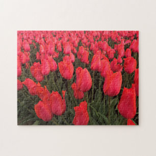 Coral Pink Tulips Jigsaw Puzzle