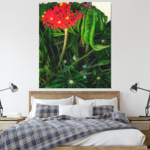 Coral Plant Leaves and Flowers Canvas Print