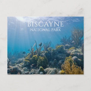 Coral, Plants, Fish, Biscayne National Park, FL Postcard