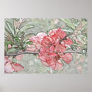 Coral quince poster