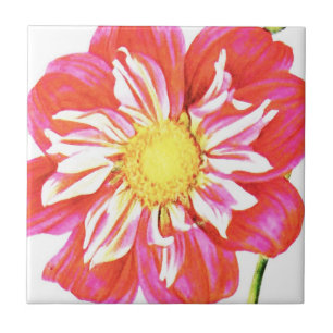 Coral red and white striped dahlia print tile