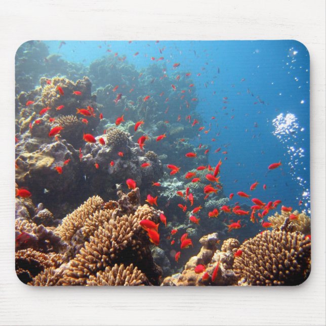 Coral Reef 01 Mouse Mat (Front)
