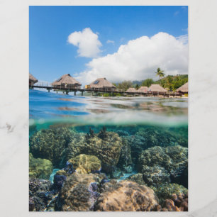 Coral reef and a tropical resort flyer
