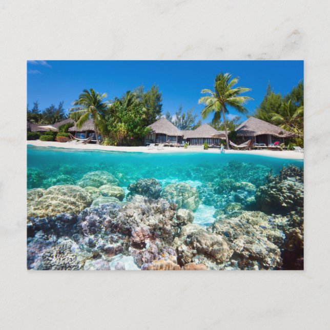 Coral reef and a tropical resort postcard (Front)