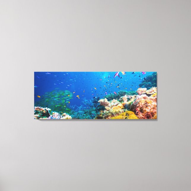 Coral Reef And Tropical Fish Canvas Print (Front)