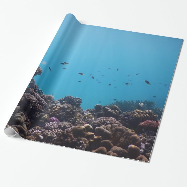 Coral Reef and Tropical Fish of Pacific Ocean Wrapping Paper (Unrolled)