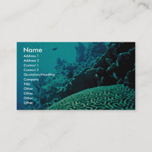 Coral Reef Business Card