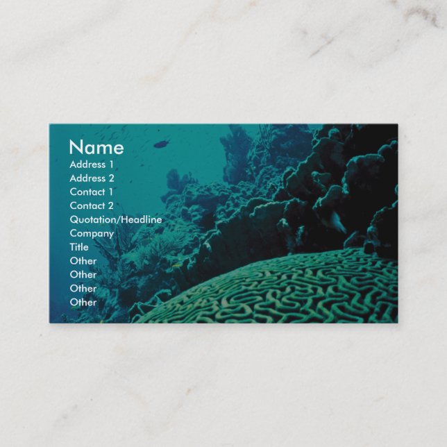 Coral Reef Business Card (Front)