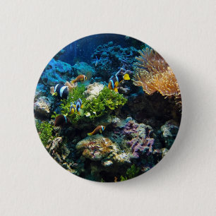 Coral Reef buttons