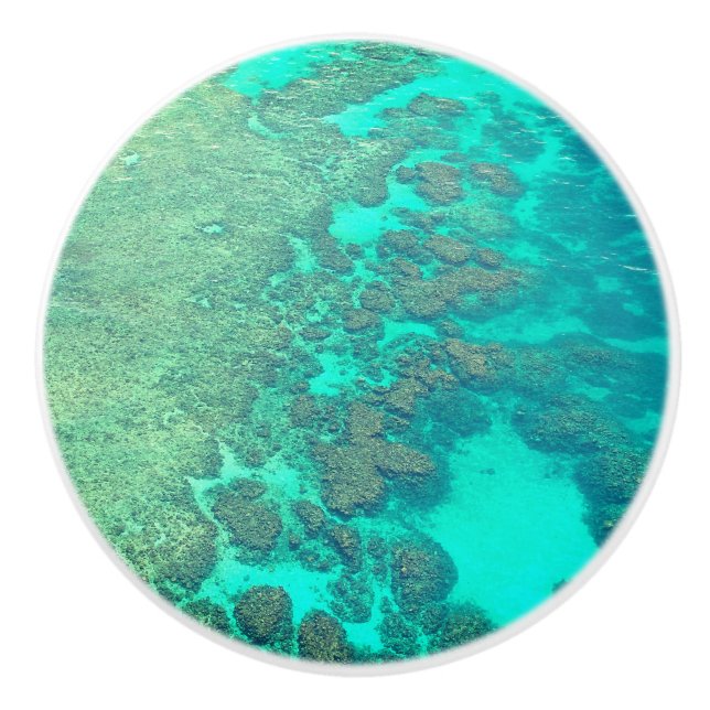 Coral reef ceramic knob (Front)