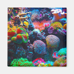 Coral reef colorful ocean magnet
