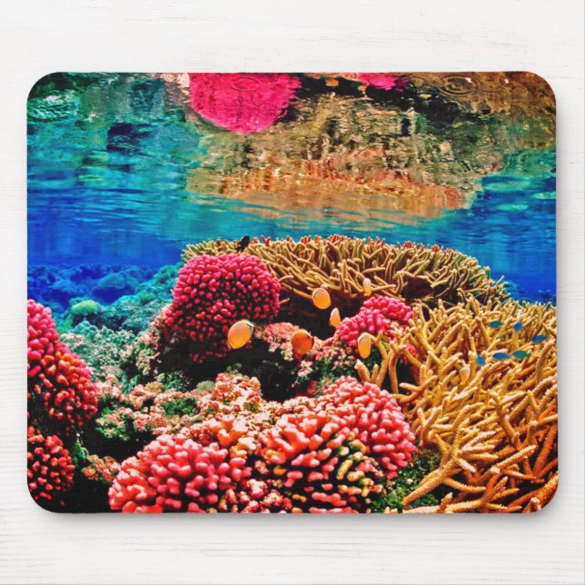 Coral reef colourful ocean life mouse mat (Front)