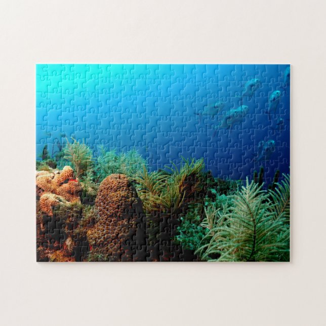 Coral Reef, Dry Tortugas National Park, Florida Jigsaw Puzzle (Horizontal)