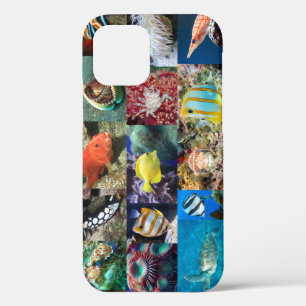 Coral Reef Fish Animals, Photo Collage for Pros iPhone 12 Pro Case