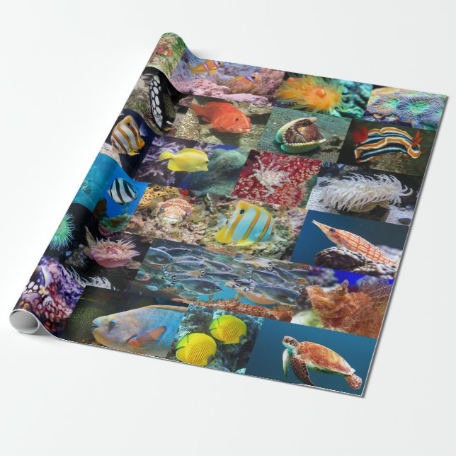 Coral Reef Marine Fish and Animals Photos Nature Wrapping Paper (Unrolled)
