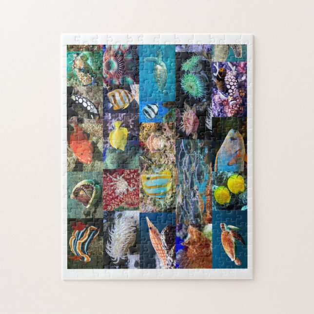 Coral Reef Marine Life Photos, Age 8, 252 Pieces Jigsaw Puzzle (Vertical)